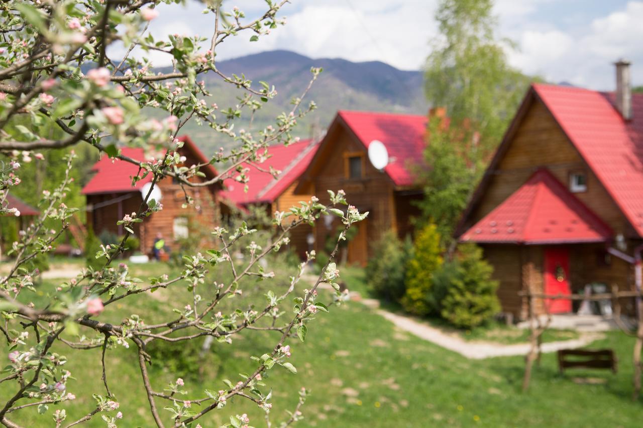 Teremok Guest House Vyshka Εξωτερικό φωτογραφία