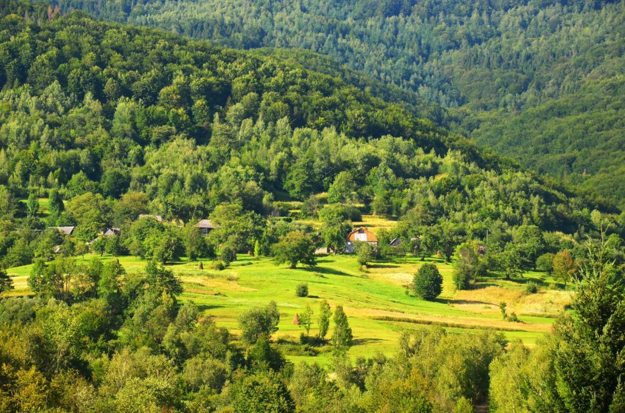 Teremok Guest House Vyshka Εξωτερικό φωτογραφία