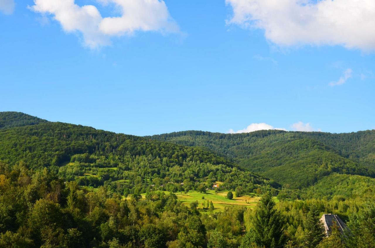 Teremok Guest House Vyshka Εξωτερικό φωτογραφία